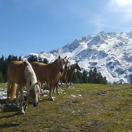 Alpenjaeger * ゼルデン