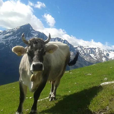 Apartmán Alpenjaeger Sölden